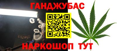 шишки Беслан