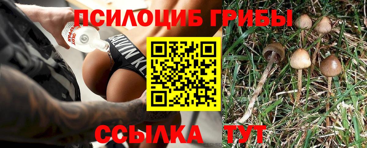 Клинцы  Галлюциногенные грибы GOLDEN TEACHER  Галлюциногенные грибы MAGIC MUSHROOMS  Вход с VPN 